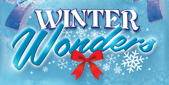 Winter Wonders
