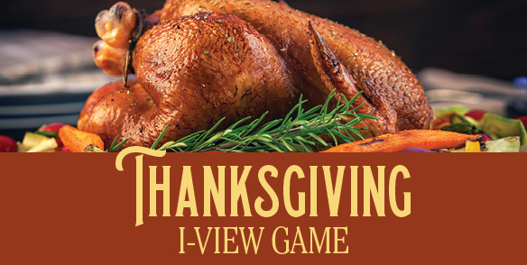 Thanksgiving I-View Game