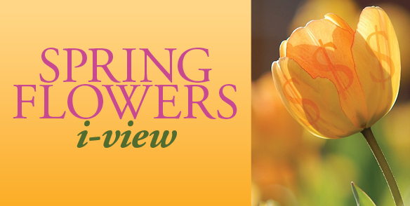 Spring Flowers i-view