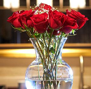 dozen fresh red roses in vase