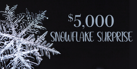 $5,000 SNOWFLAKE SURPRISE