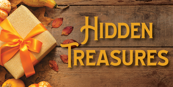 HIDDEN TREASURES