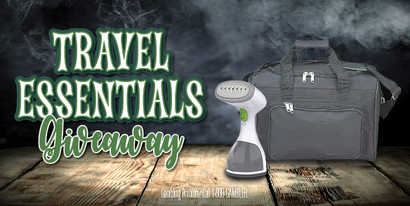 Handheld Steamer Giveaway