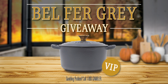 Bel Fer Grey Dutch Oven Giveaway