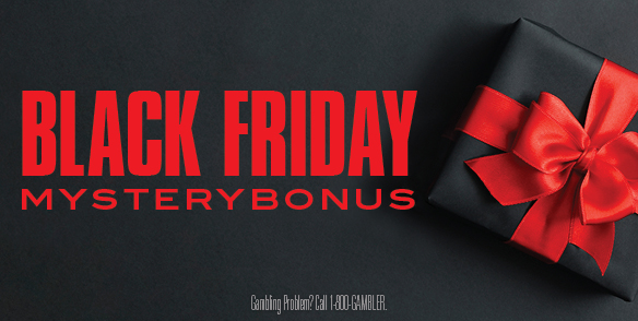 BLACK FRIDAY MYSTERY BONUS