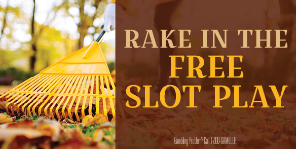 RAKE IN THE FREE SLOT PLAY