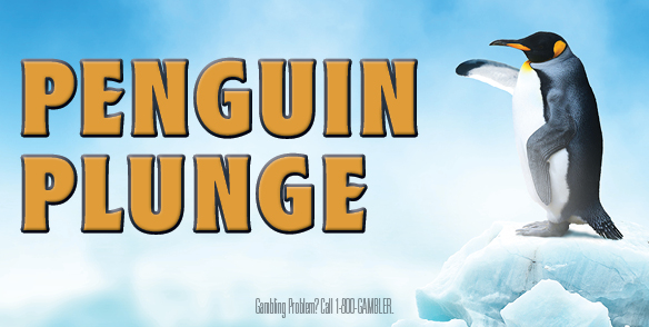 Penguin Plunge