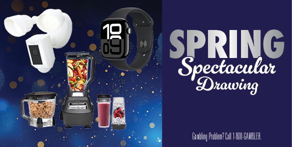 SPRING Spectacular Drawing