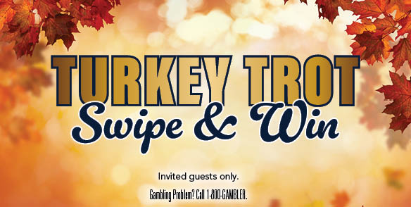 TURKEY TROT SWIPE & WIN