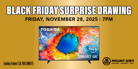 BLACK FRIDAY SURPRISE DRAWING