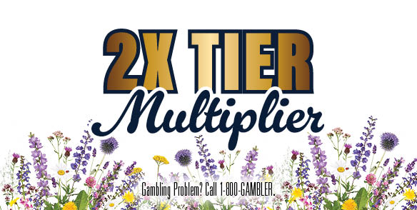 2X Tier Multiplier